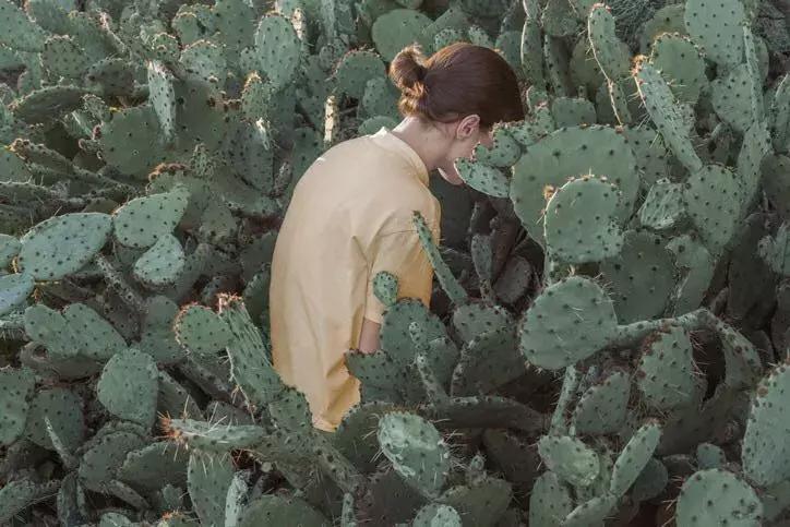 别跟我谈钱伤感情,谈感情伤钱的神回复