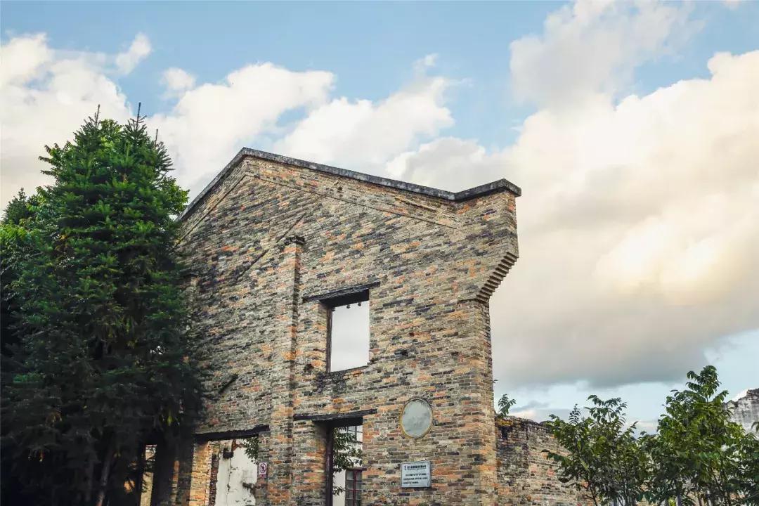 龙润茶一品熟茶,龙润茶唯一一款有机熟茶