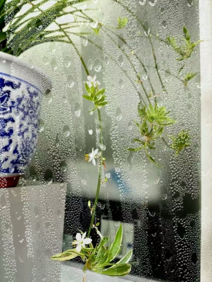 如何解决一楼潮湿问题,一楼下跃层如何解决潮湿