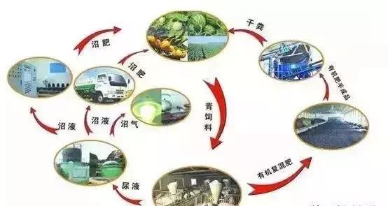 延安特色农业项目,陕西省延安今年农业有没有补贴