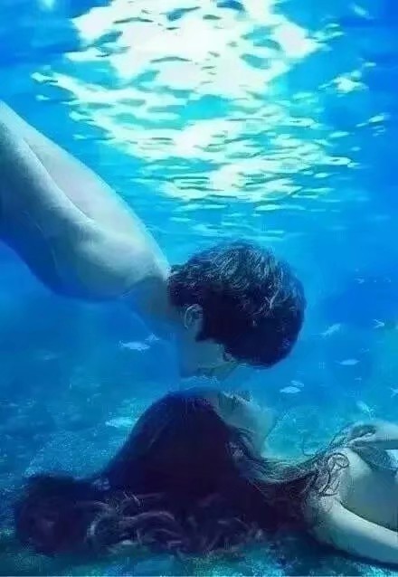 水里美人壁纸,玫瑰水中花壁纸