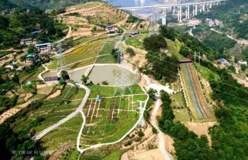 重庆风景让人一看心旷神怡的地方,秋日游重庆这里的风景别样好