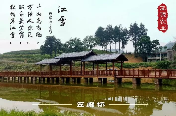 重庆风景让人一看心旷神怡的地方,秋日游重庆这里的风景别样好