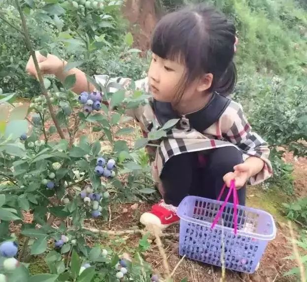 重庆风景让人一看心旷神怡的地方,秋日游重庆这里的风景别样好