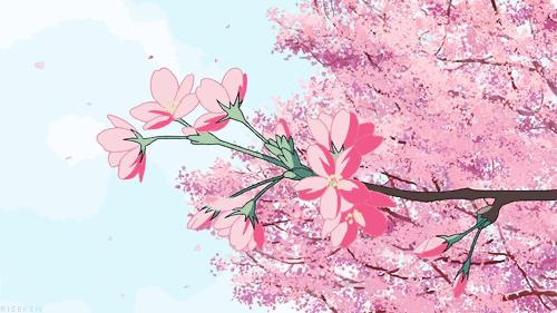 重庆风景让人一看心旷神怡的地方,秋日游重庆这里的风景别样好