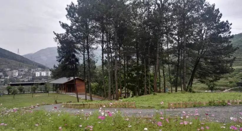 重庆风景让人一看心旷神怡的地方,秋日游重庆这里的风景别样好