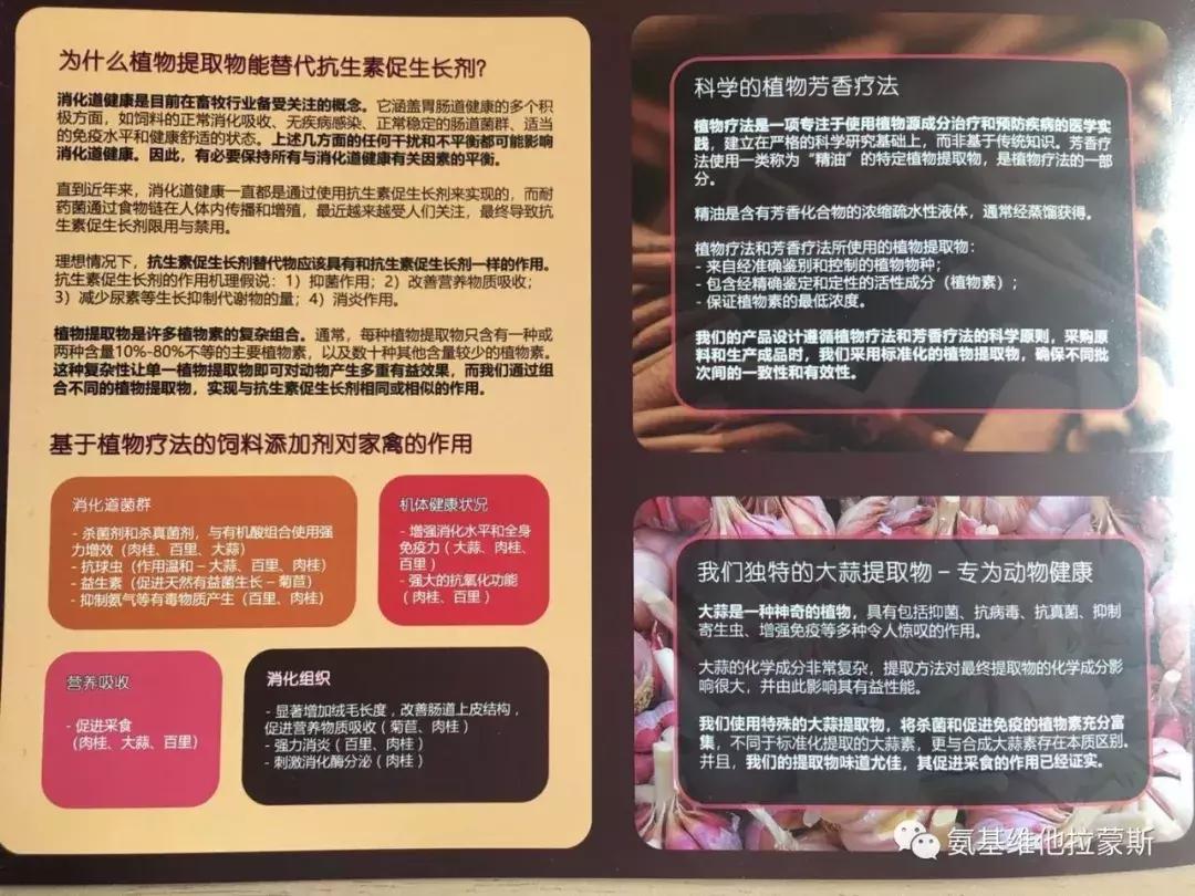 蛋鸡拉浅绿色粪便是什么原因,蛋鸡粪便条状怎么回事