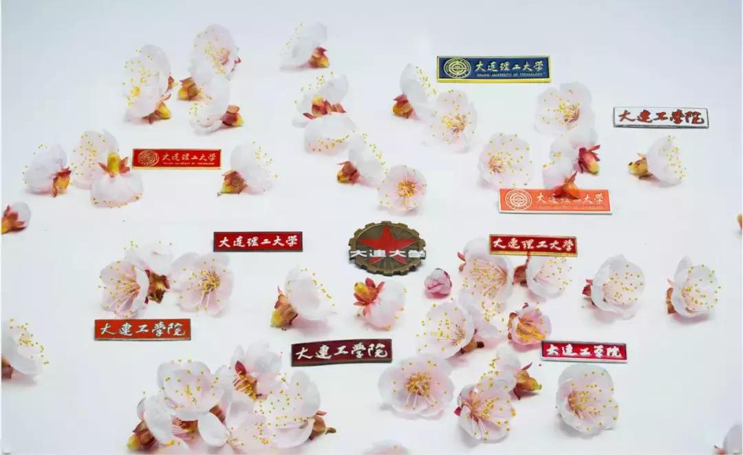 今天是您的生日，我的大工！祝您生日快乐！