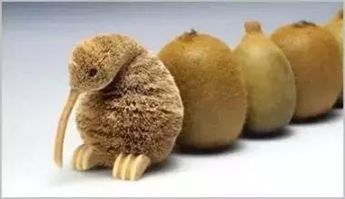 每周一漫｜想变高雅的猕猴桃