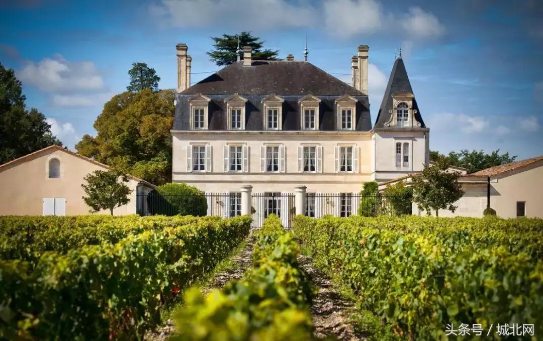 世界顶级的十大私人酒庄价格,世界最大的酒庄值多少钱