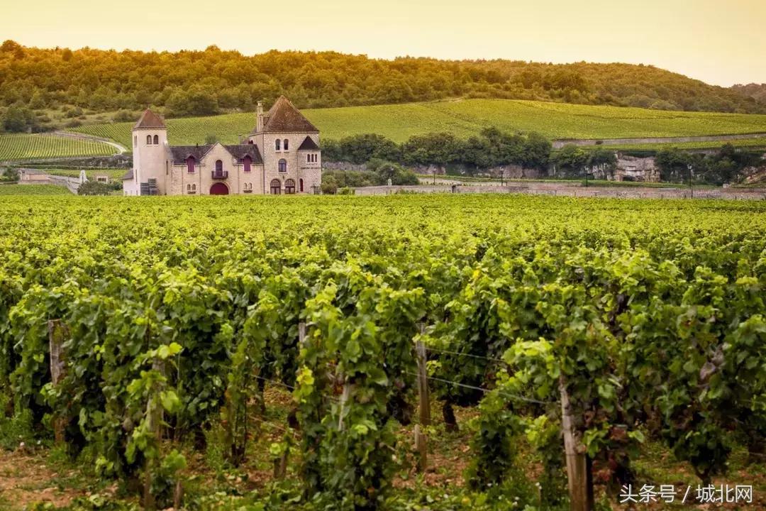 世界顶级的十大私人酒庄价格,世界最大的酒庄值多少钱