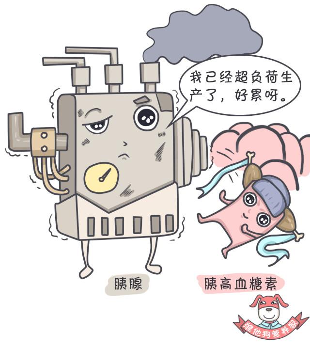 27万胖子用光吃不动的方法减了肥，你也一定想来试试