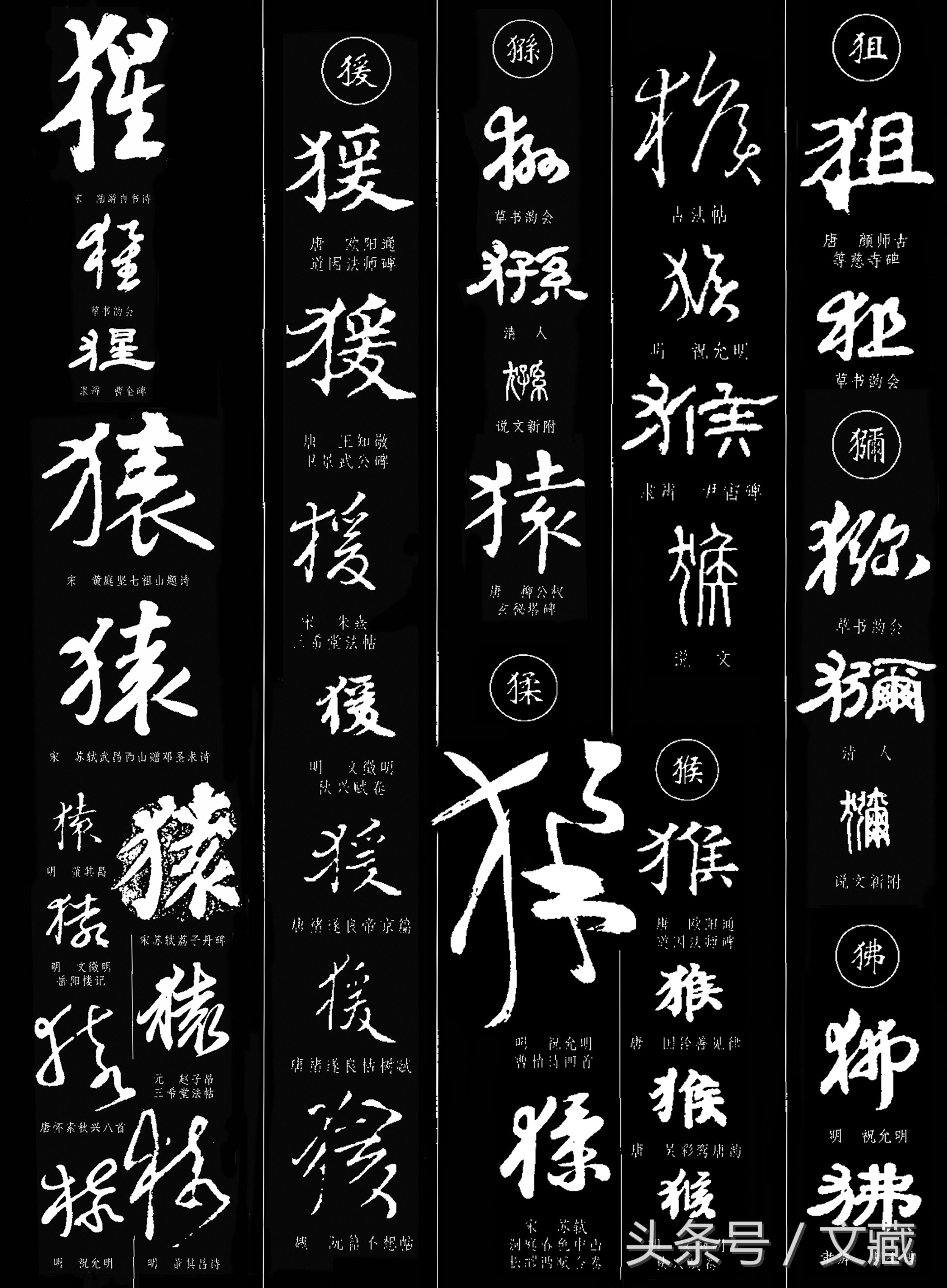 有用而鄙贱，无用而高贵——猴与猿的迥异待遇