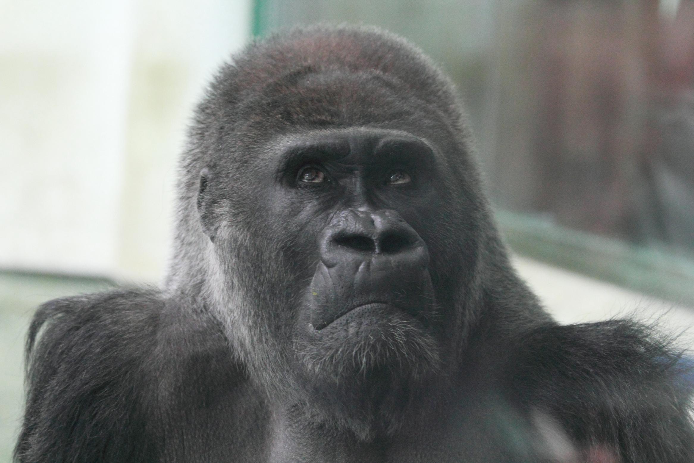 缓解郁闷心情的方法,郁闷不开心怎么办