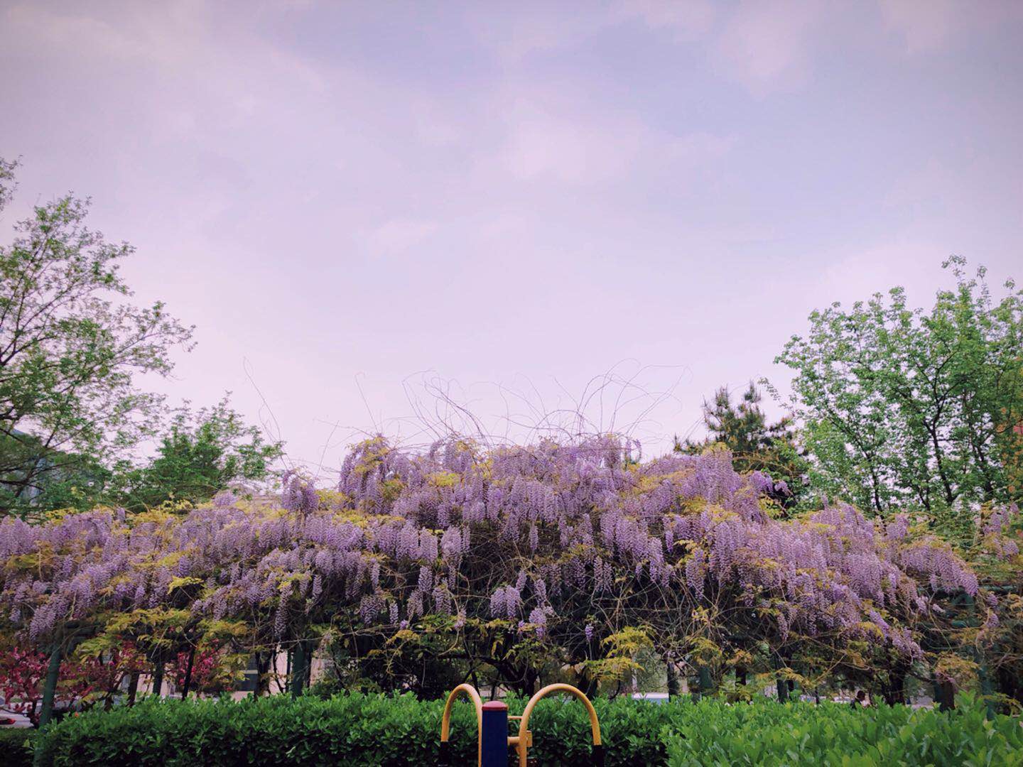 鼻塞咽痒，全身乏力？关注，可能是过敏！