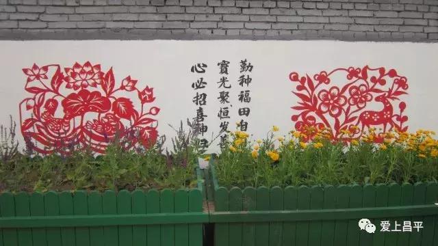 五彩田园农业嘉年华半日游,最美春天旅游攻略