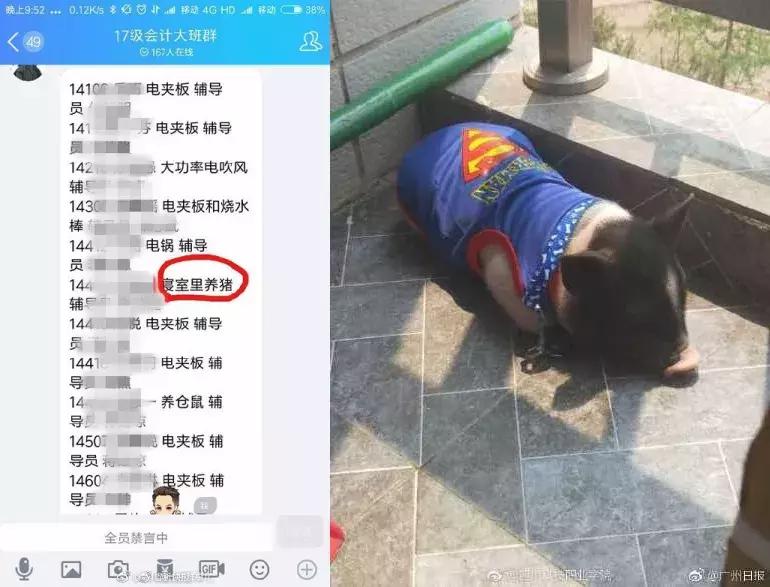 「三分钟法治新闻全知道」凄惨出访！非洲“友邦”仅剩俩，其中一国还让蔡英文吃了闭门羹……