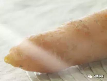 春季食疗养生食谱有哪些,春季养生食疗