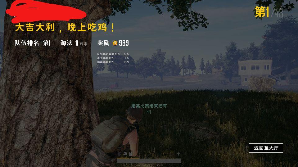 绝地求生带职业选手吃鸡,绝地求生吃鸡队友功能