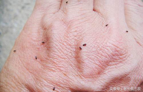 恐怖分子袭击最好躲在哪,如何防御恐怖分子