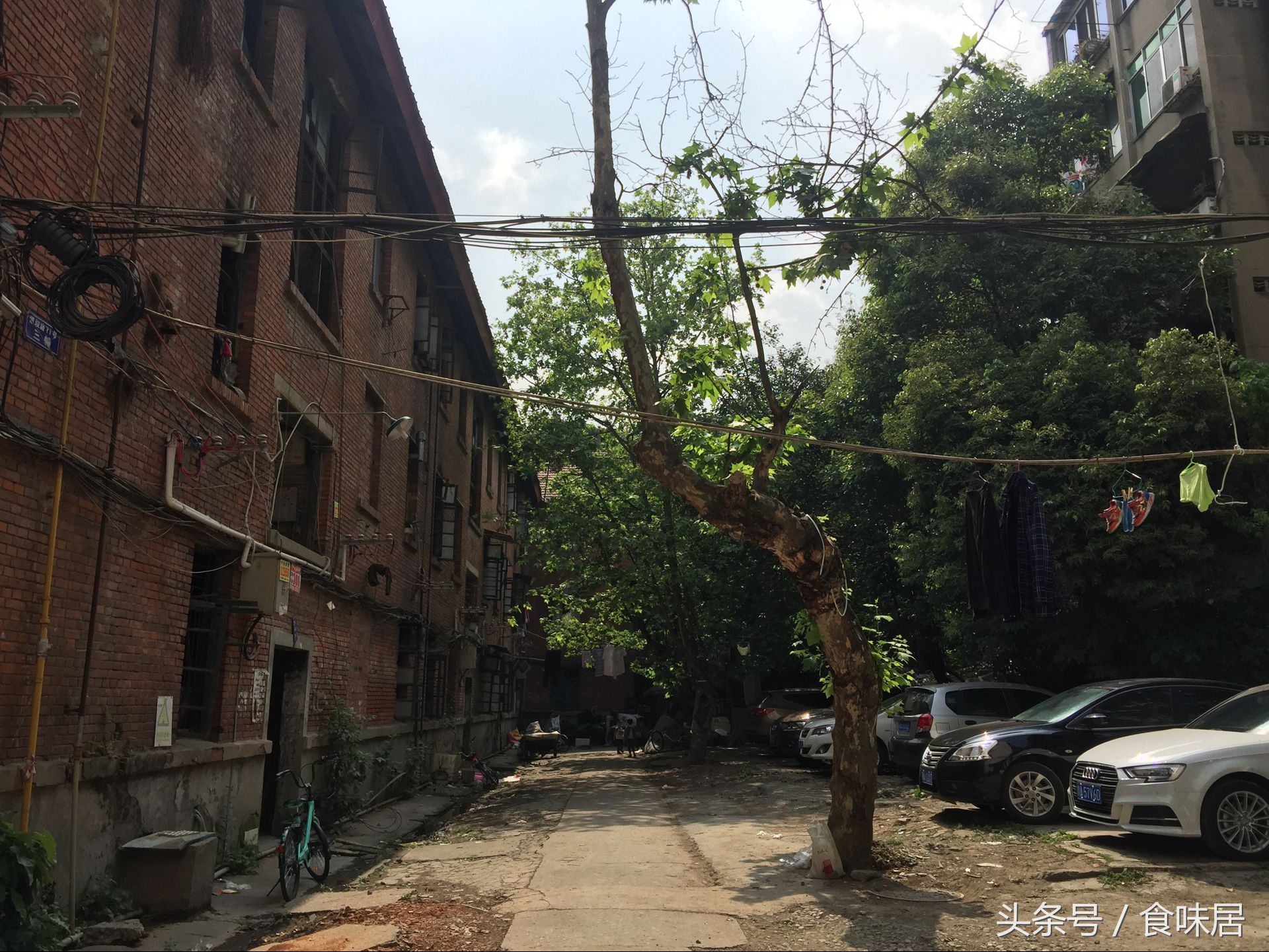 专注饺子15年,十种经典水饺