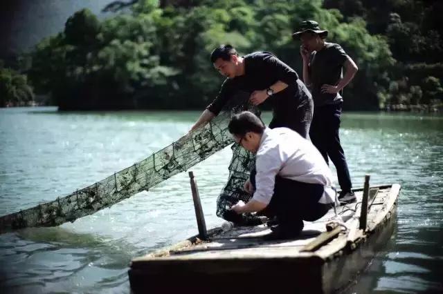 桐庐富春江边十大网红民宿,桐庐富春江畔山清水秀