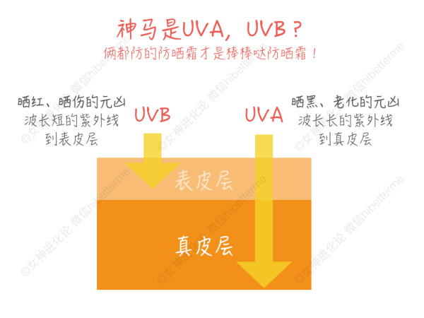 防晒及其他护肤的正确步骤,为什么说防晒是护肤的最后一步