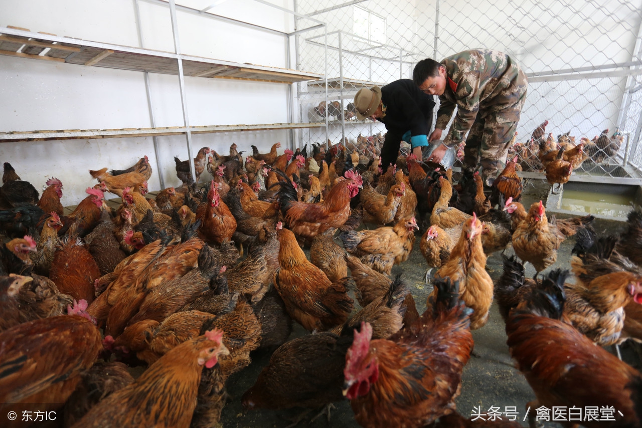 通过降低时间成本带来的收益,通过涨价增加利润