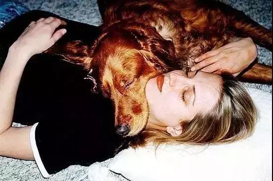 孤独的男男女女，和他们的狗