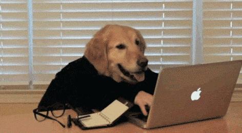 孤独的男男女女，和他们的狗