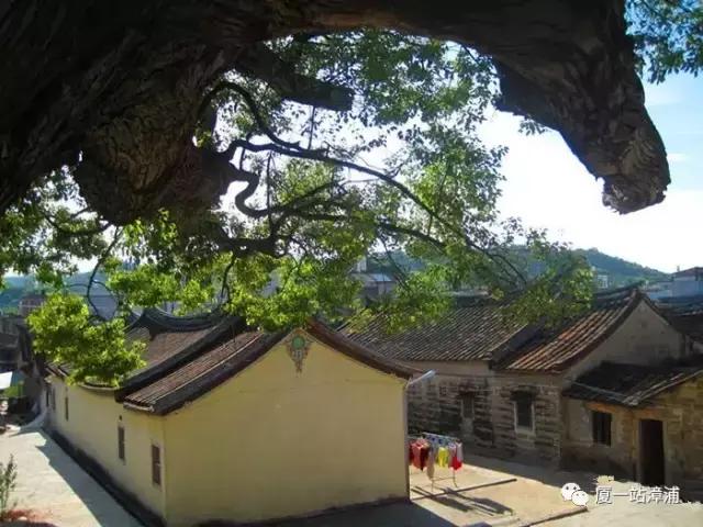 漳浦县牛,凭什么你那么牛原版