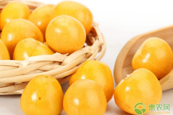 最新养殖品种有哪些,最新改良养殖的新品种有哪些