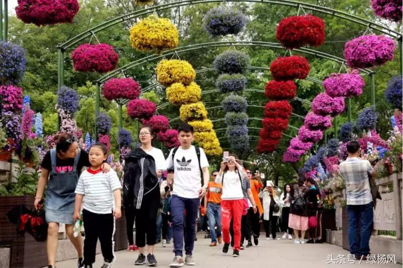 瘦西湖门票免票团购,2022年瘦西湖门票优惠政策