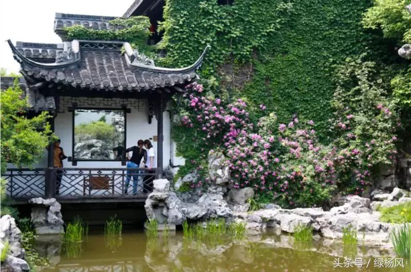 瘦西湖门票免票团购,2022年瘦西湖门票优惠政策