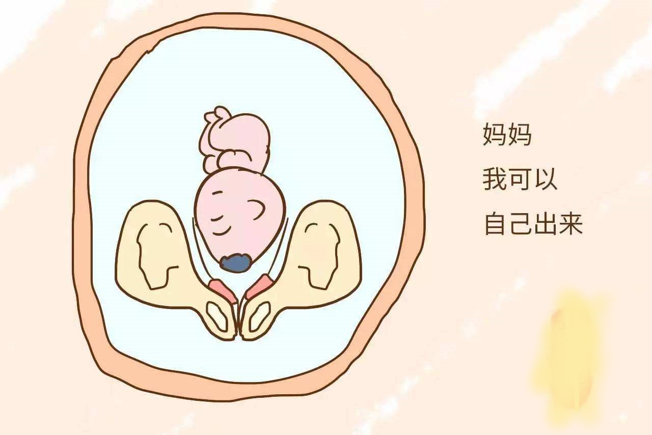 胎宝宝一般有哪些动作,胎宝宝最怕妈妈做的9个动作