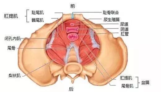 子宫脱垂小便出血严重吗,子宫脱垂与白带多有关吗