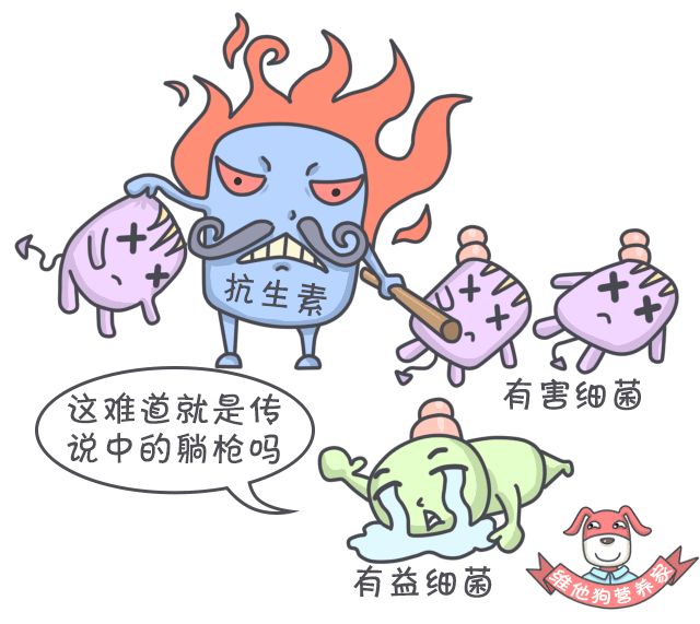 肚子胀气屁大,肚子胀气屁多吃点啥药