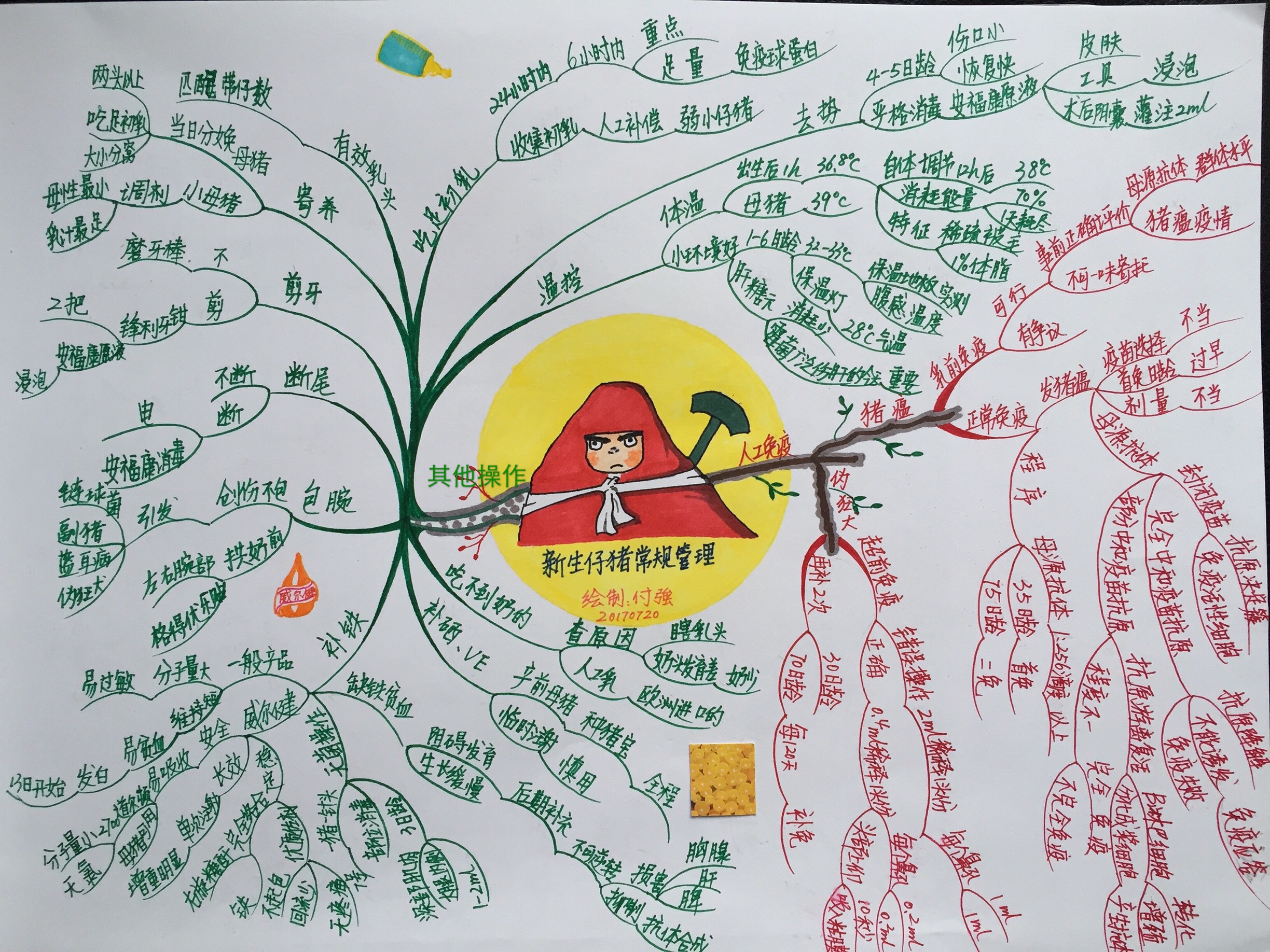 补铁引起的过敏怎么处理,小猪出生补铁的是什么药