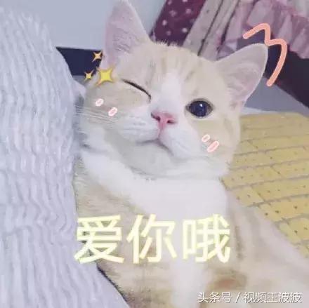 ikea宜家的东西好用吗,宜家ikea必买物品