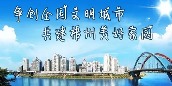 游泳场所专项监督检查,广东省经营性游泳场所管理办法