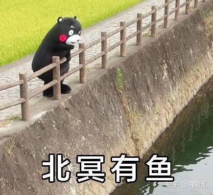 鲲在哪里使用,鲲到底是什么生物