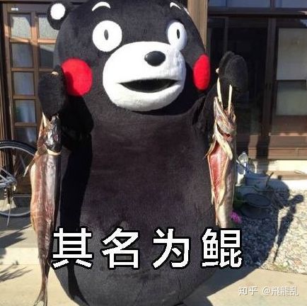 鲲在哪里使用,鲲到底是什么生物