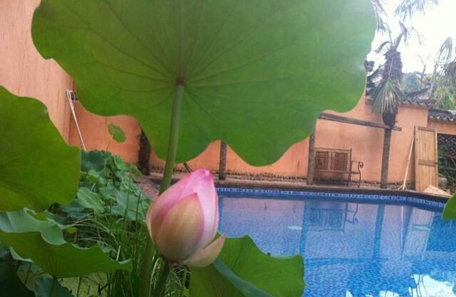 宏村张公馆：唯一能看到全村风景的民宿，住进明清300年的时光里