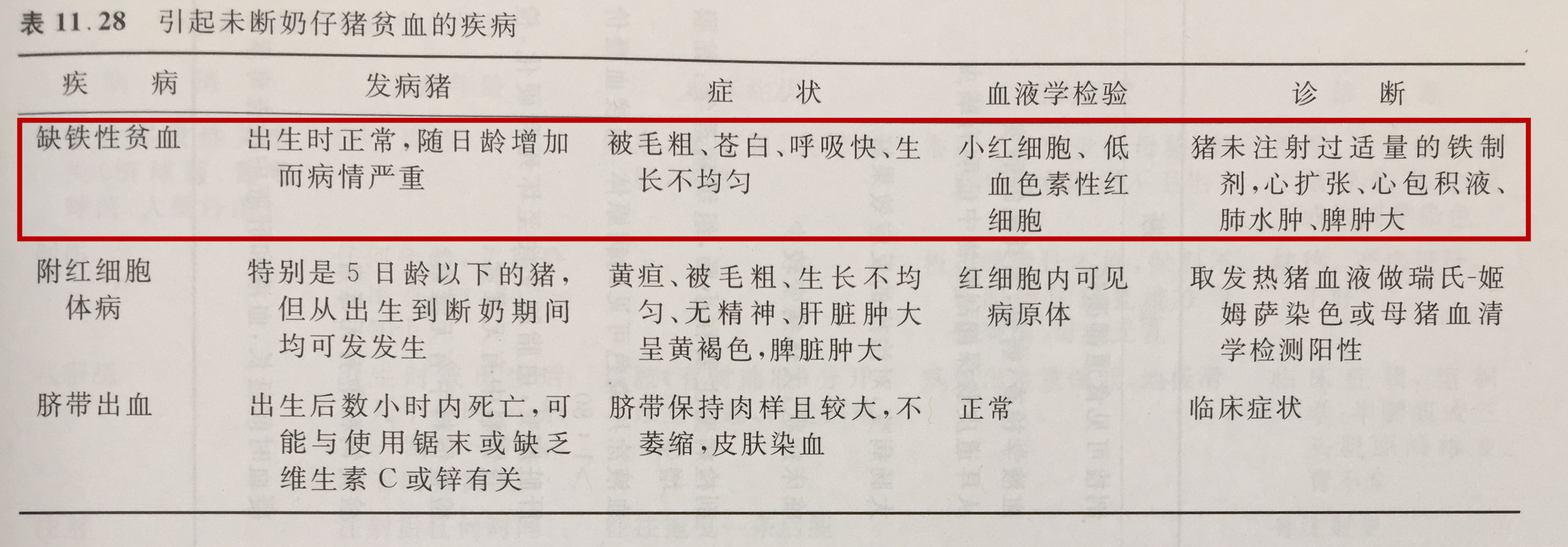 补铁引起的过敏怎么处理,小猪出生补铁的是什么药