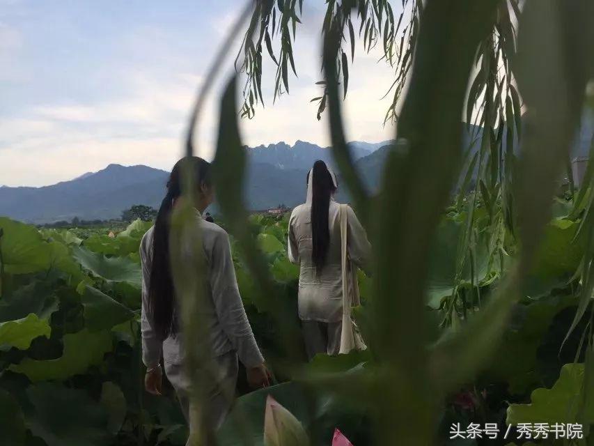 茶道养生课黄帝内经,黄帝内经茶道养生