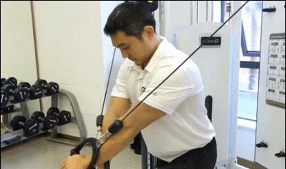 下胸肌最佳锻炼方法女,女怎么锻炼胸肌最快