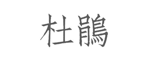 日本花图鉴｜带你去那花花世界