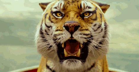 您所不了解的更年期女人……