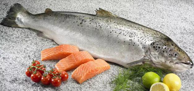 把鱼翅当宝，还花大钱买的人要关注了，小心汞中毒