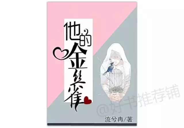 不书荒,不书荒书单